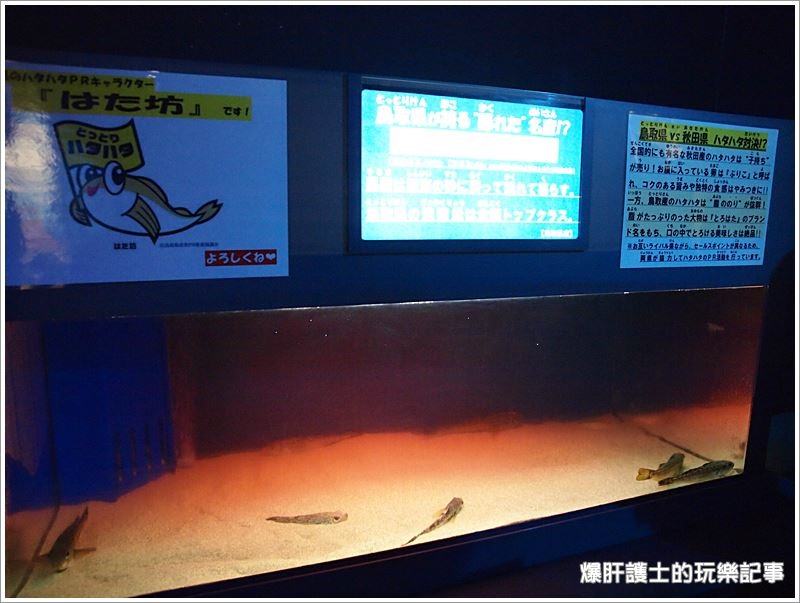 【鳥取】螃蟹博物館とっとり賀露かにっこ館 - nurseilife.cc