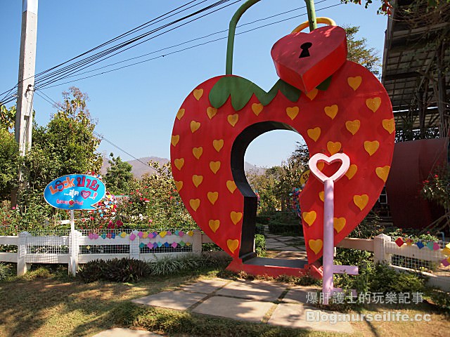 【擺鎮\拜城\pai】Love Strawberry Pai เลิฟสตรอเบอร์ - nurseilife.cc