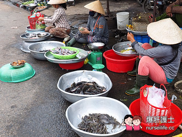 【越南旅遊】西寧市場 越南傳統菜市場大觀園 - nurseilife.cc