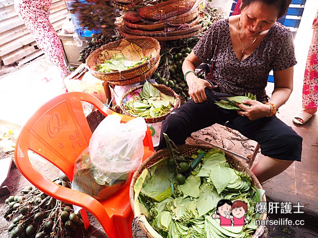 【越南旅遊】西寧市場 越南傳統菜市場大觀園 - nurseilife.cc