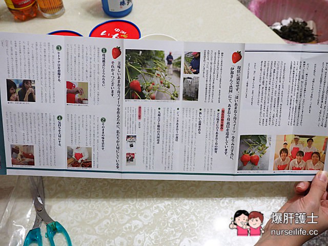 【九州必買】福岡特有的草莓巧克力 酸甜滋味的高級甜點 - nurseilife.cc