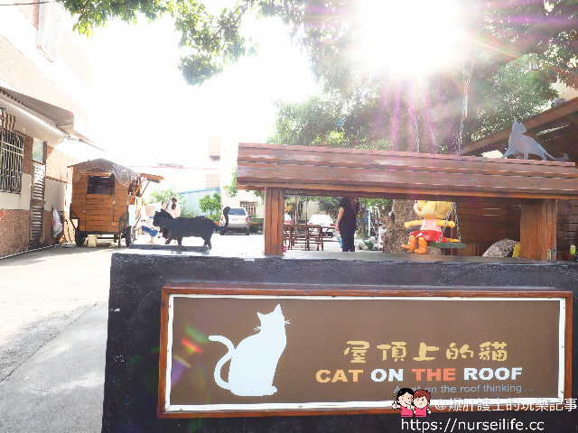 雲林、虎尾｜頂溪社區屋頂上的貓 台灣原創彩繪村 - nurseilife.cc