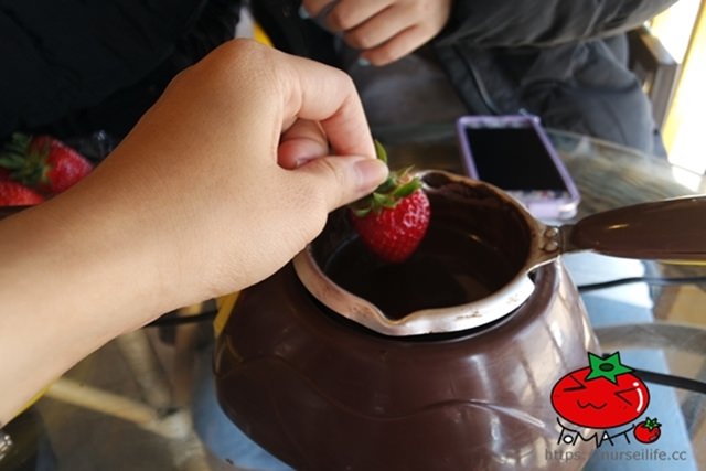 韓國、京畿｜韓國旅遊新玩法 來去首爾郊區「兩水」體驗採草莓、製作草莓巧克力 - nurseilife.cc