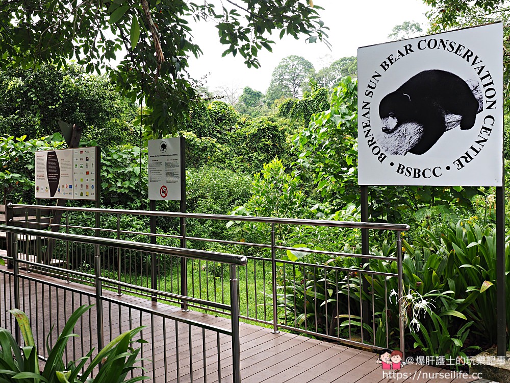 馬來西亞、沙巴｜山打根馬來熊保育中心 Bornean Sun Bear Conservation Centre - nurseilife.cc