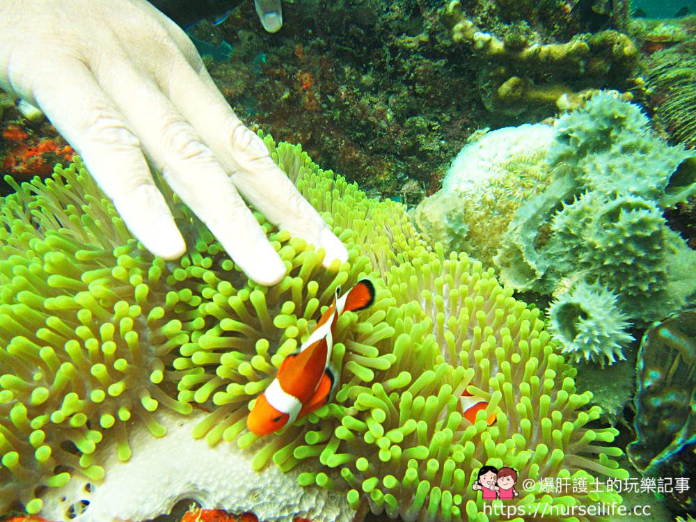馬來西亞、沙巴｜亞庇婆羅洲礁石世界Borneo Reef World 亞洲最大的水上活動平台 - nurseilife.cc