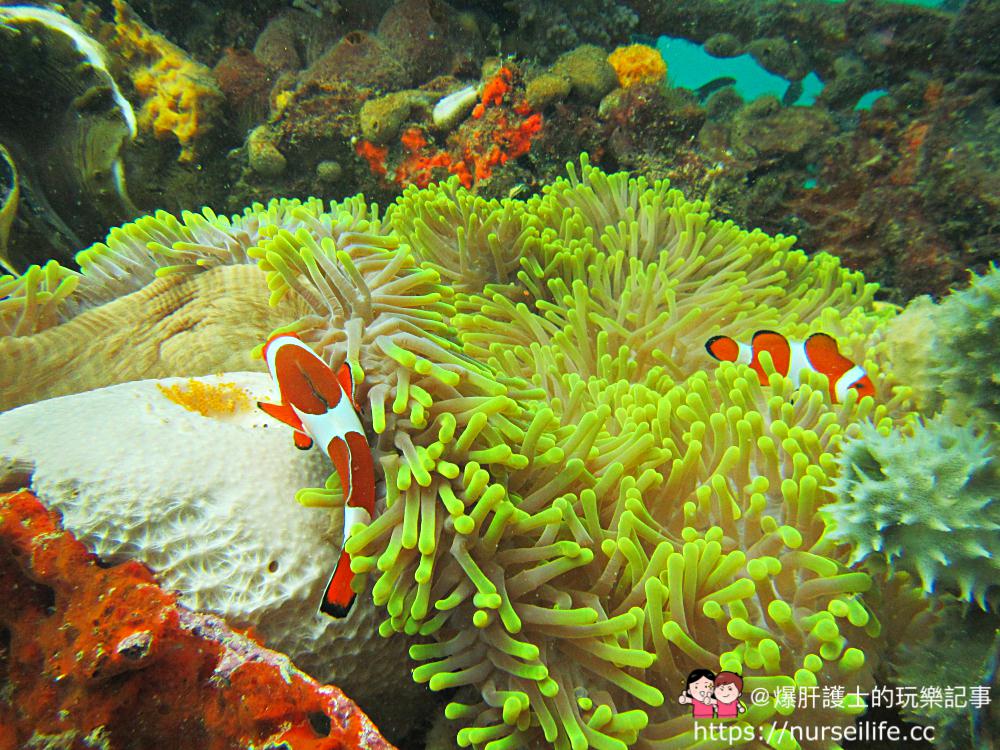 馬來西亞、沙巴｜亞庇婆羅洲礁石世界Borneo Reef World 亞洲最大的水上活動平台 - nurseilife.cc
