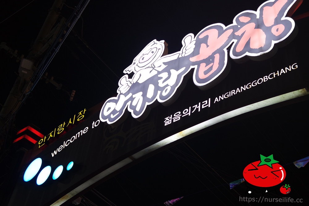 韓國、大邱｜安吉郎站烤腸街 大邱宵夜十味之一的好去處 - nurseilife.cc