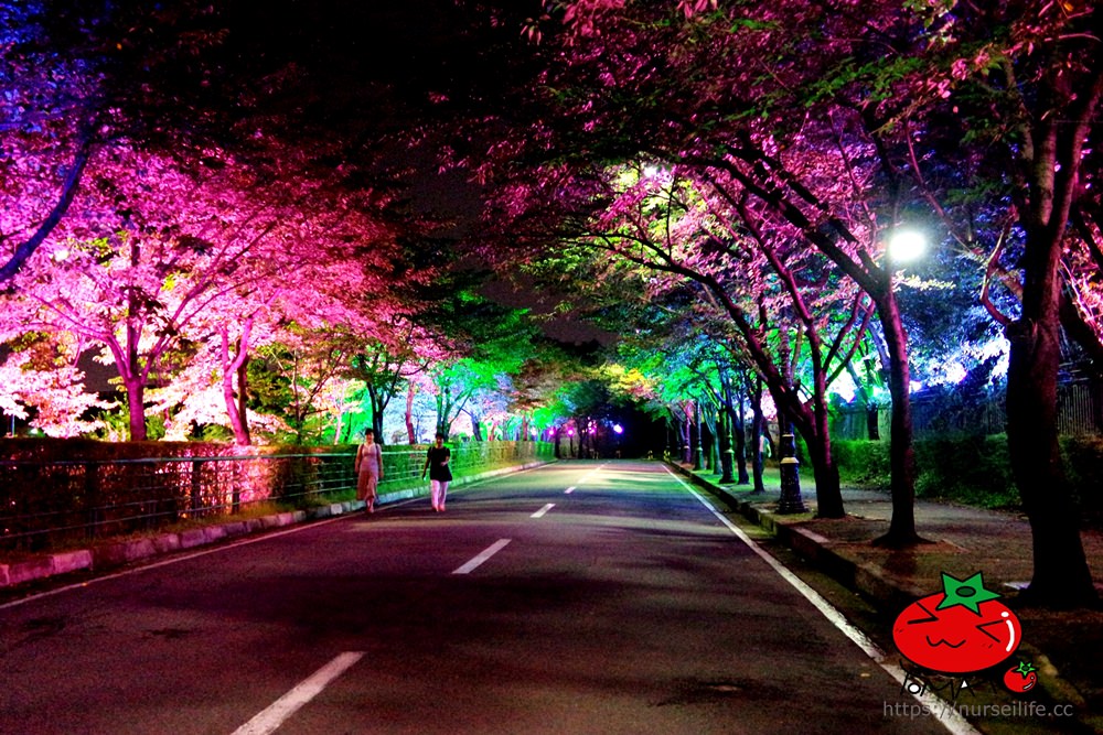 韓國、大邱｜RunningMan也造訪的E world+83 Tower 大邱市區內的夜景區 - nurseilife.cc