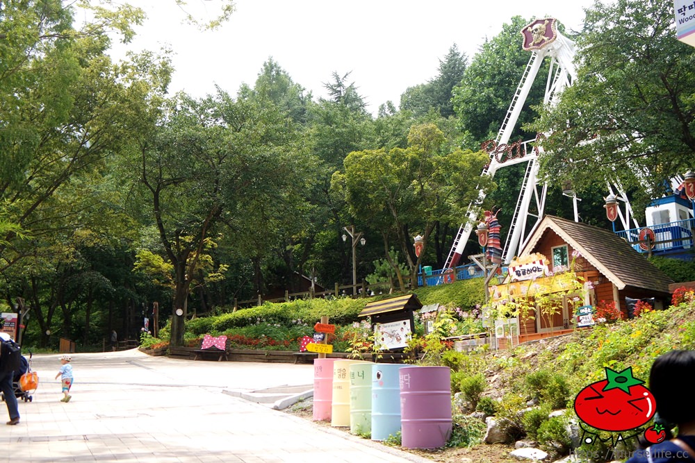 韓國、大邱｜香草之丘Hill crest  ，露營、運動探險、遊樂區一次滿足 - nurseilife.cc