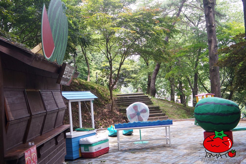 韓國、大邱｜香草之丘Hill crest  ，露營、運動探險、遊樂區一次滿足 - nurseilife.cc