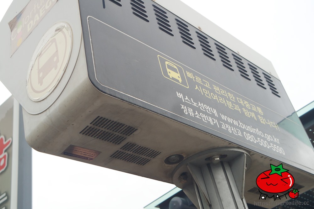 大邱機場來往市區的巴士搭乘攻略 - nurseilife.cc