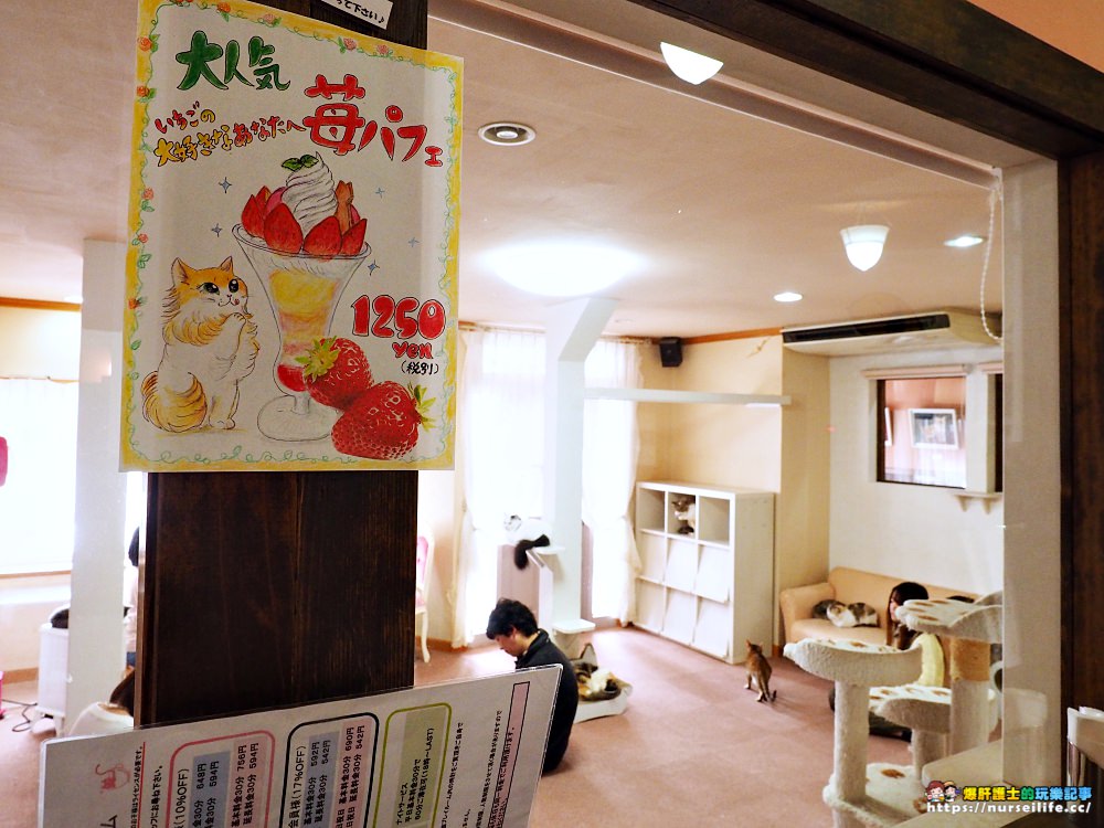 愛知、半田｜にゃおかふぇ貓咖啡館．體驗被貓療癒的空白時光 - nurseilife.cc