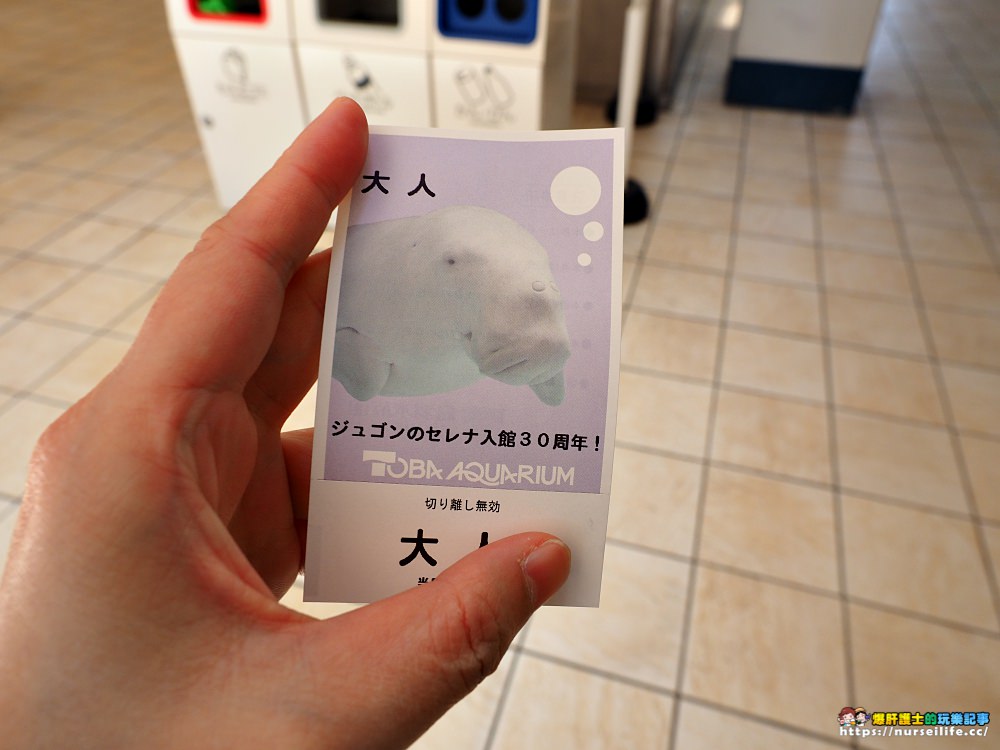 日本、三重｜鳥羽水族館．美人魚餵食秀超療癒 - nurseilife.cc
