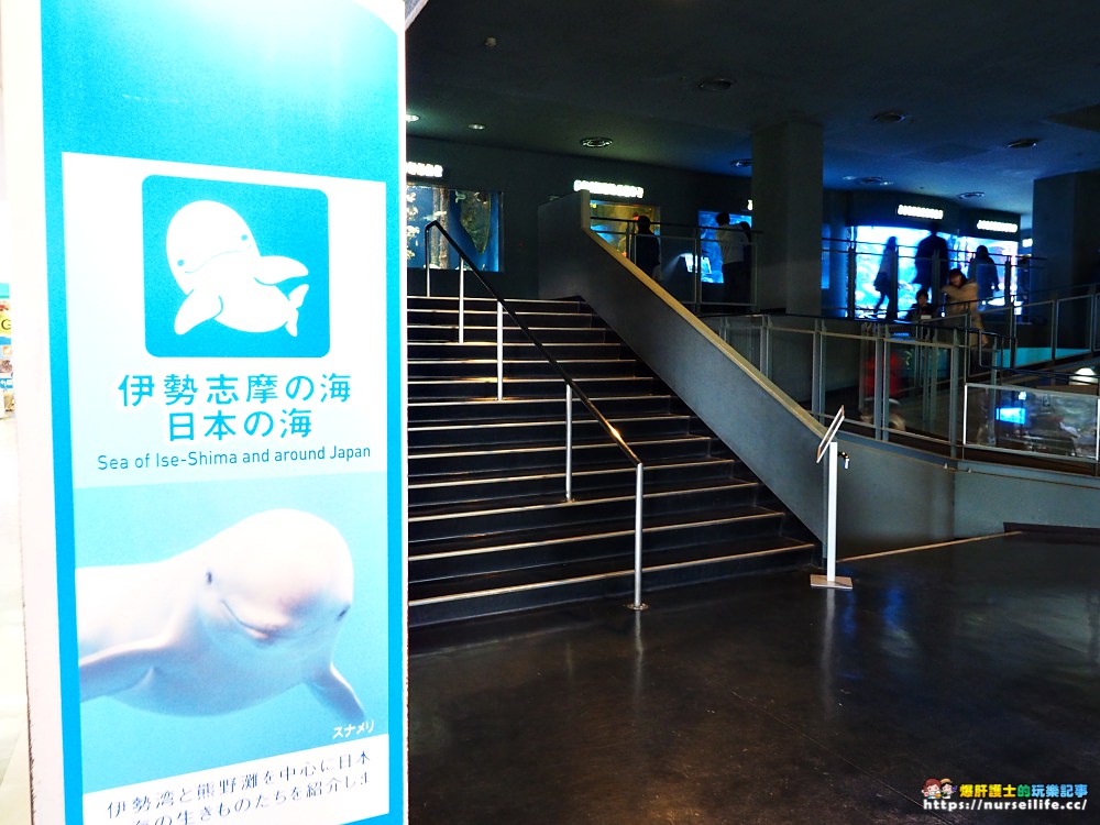 日本、三重｜鳥羽水族館．美人魚餵食秀超療癒 - nurseilife.cc