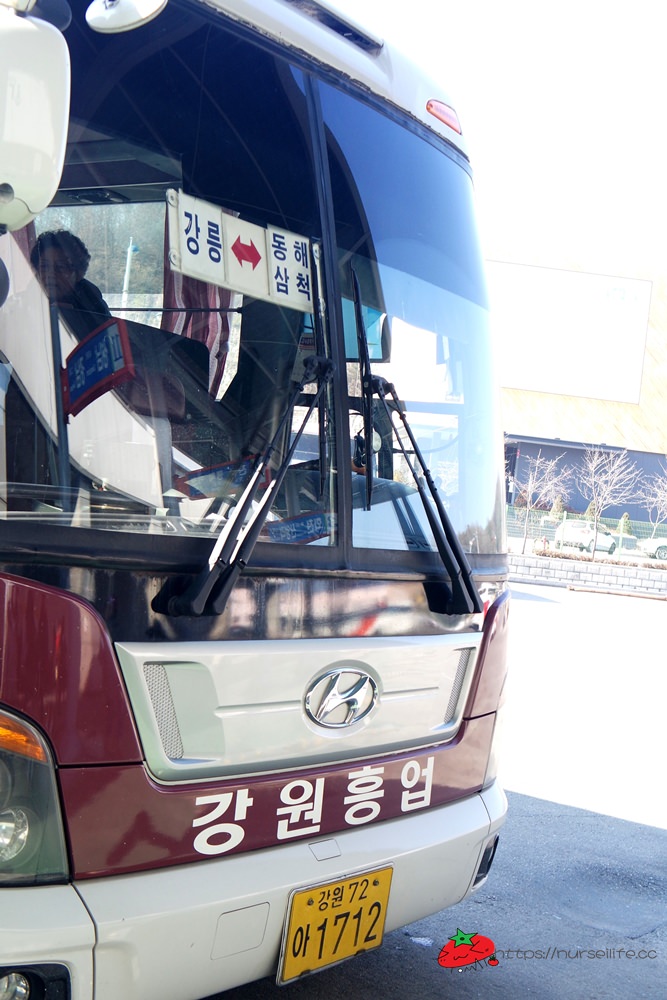 韓國交通｜搭乘巴士往江陵購票及搭乘方法 - nurseilife.cc