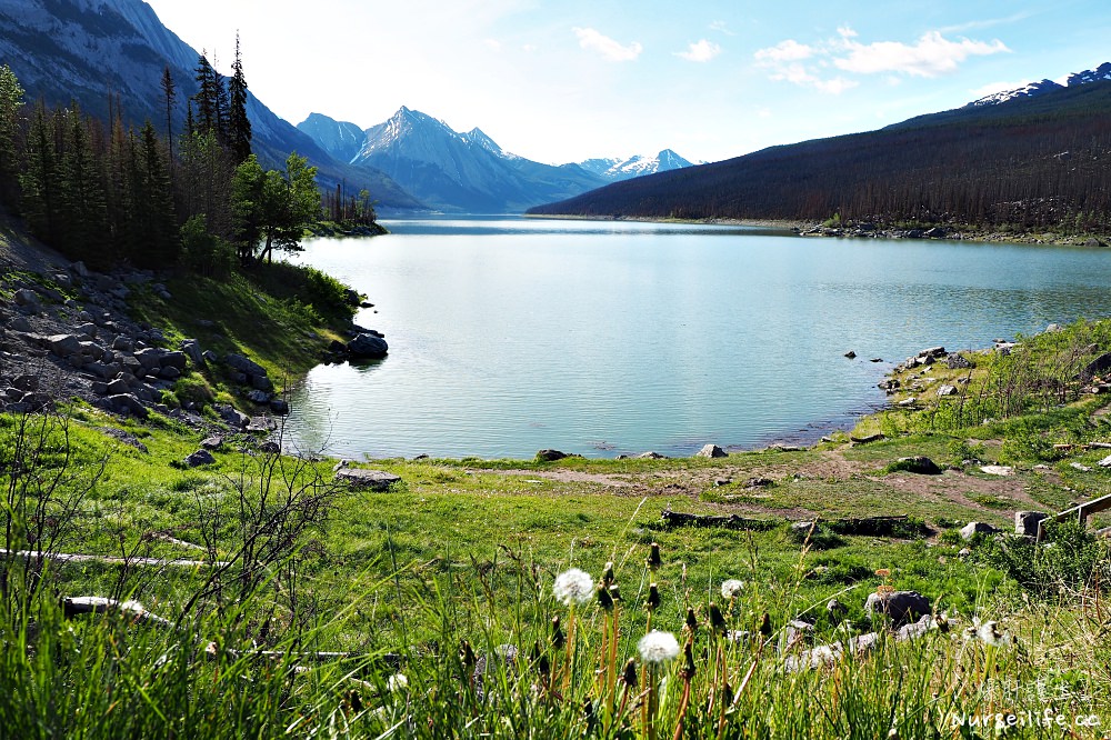 加拿大｜魔法湖 Medicine Lake．會消失的魔幻之湖 - nurseilife.cc