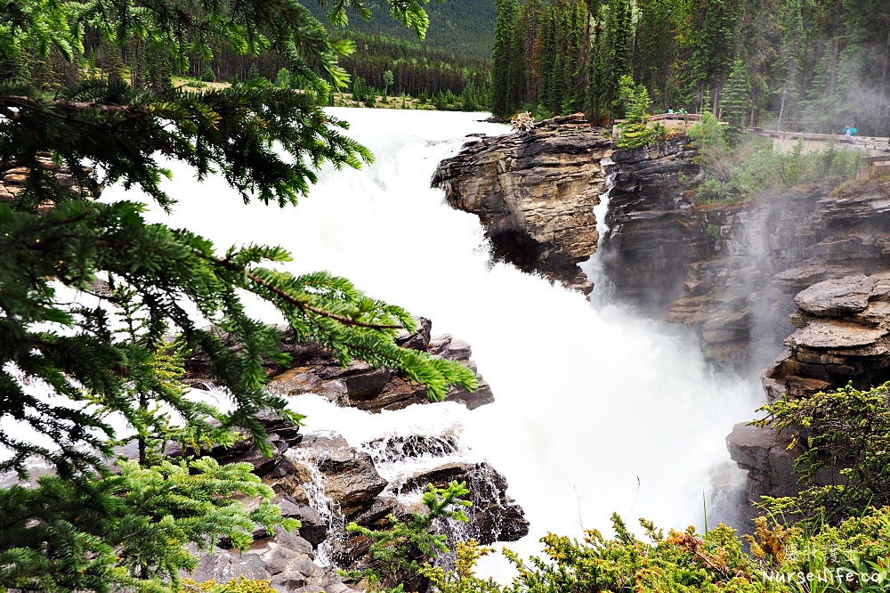 加拿大｜阿薩巴斯卡瀑布 Athabasca Falls．近距離感受萬年奔馳的衝擊 - nurseilife.cc