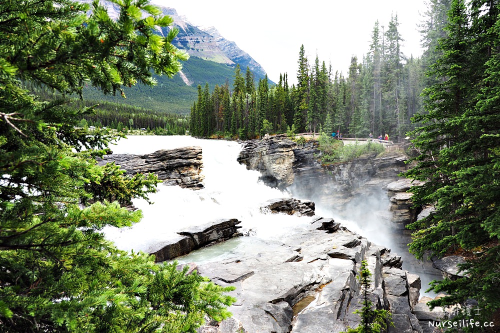 加拿大｜阿薩巴斯卡瀑布 Athabasca Falls．近距離感受萬年奔馳的衝擊 - nurseilife.cc