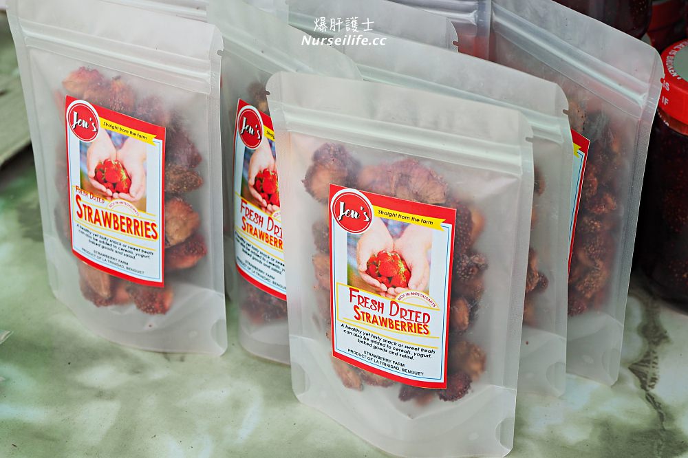 菲律賓、碧瑤BECI遊學日誌｜Strawberry picking．來採草莓吧！ - nurseilife.cc