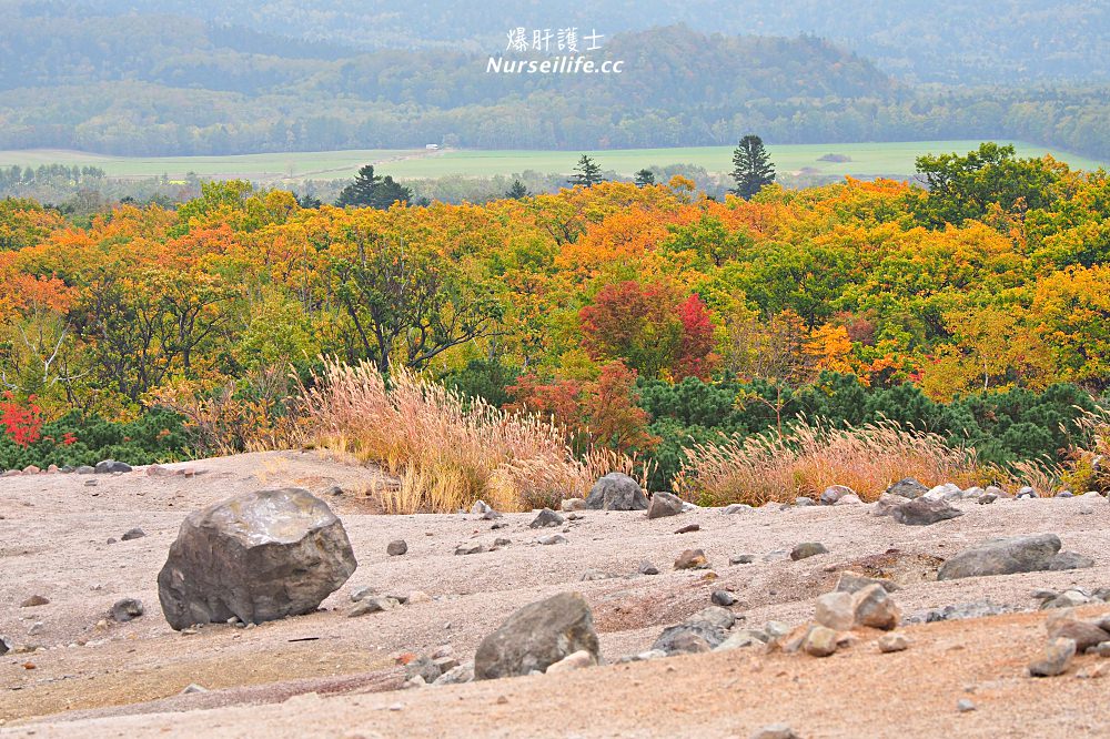 北海道｜硫磺山．漫步在失色的仙境 - nurseilife.cc
