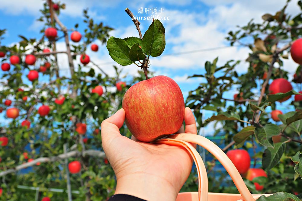 北海道｜築城果樹園．七飯町的採蘋果之旅 - nurseilife.cc