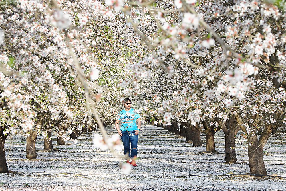 美國、加州｜弗雷斯諾Fresno County Blossom Trail．加州版三生三世十里桃花 - nurseilife.cc