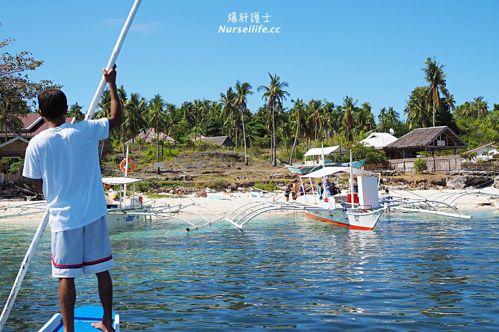 宿霧跳島：帕米拉坎島、巴里卡薩島、處女島一日遊 Bohol Island Hopping: Pamilacan, Balicasag, and Virgin Island. - nurseilife.cc