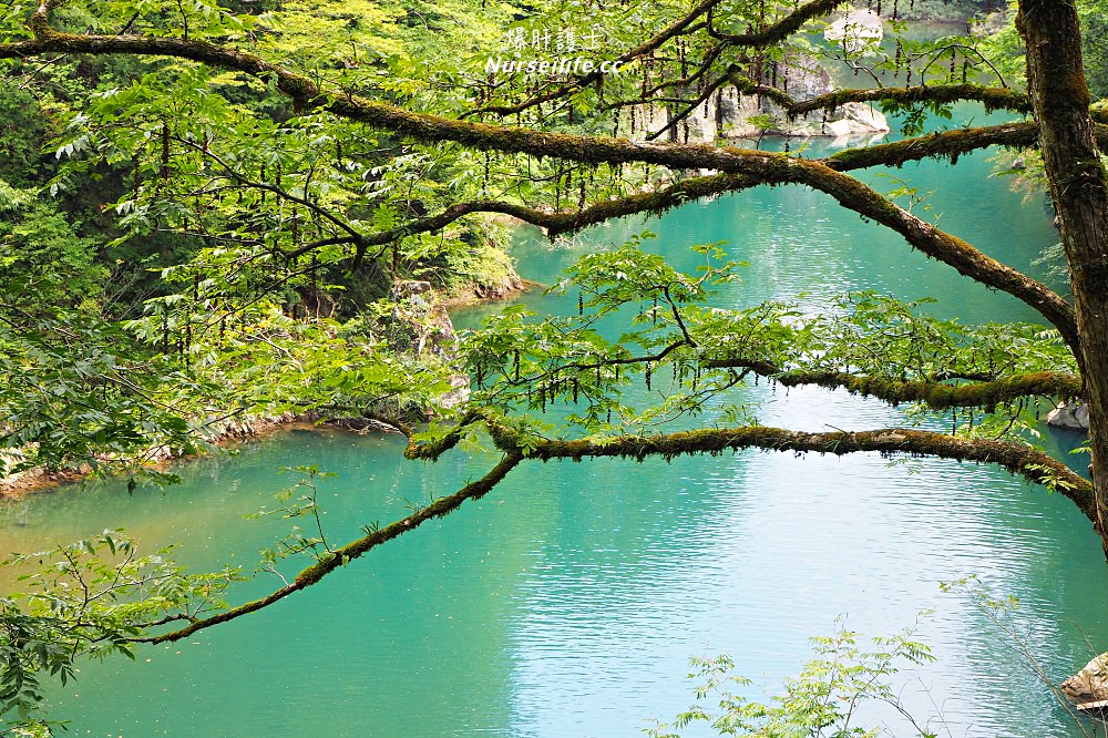 秋田深呼吸大自然之旅： 田澤湖、抱返溪谷、駒岳美食散策 - nurseilife.cc