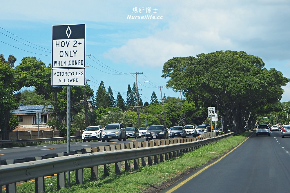 夏威夷租車自駕及開車注意事項 - nurseilife.cc