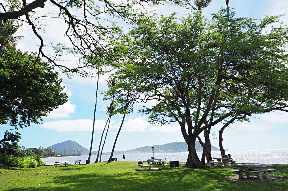 夏威夷、檀香山｜Wailupe Beach Park 適合野餐的寧靜海灘 - nurseilife.cc