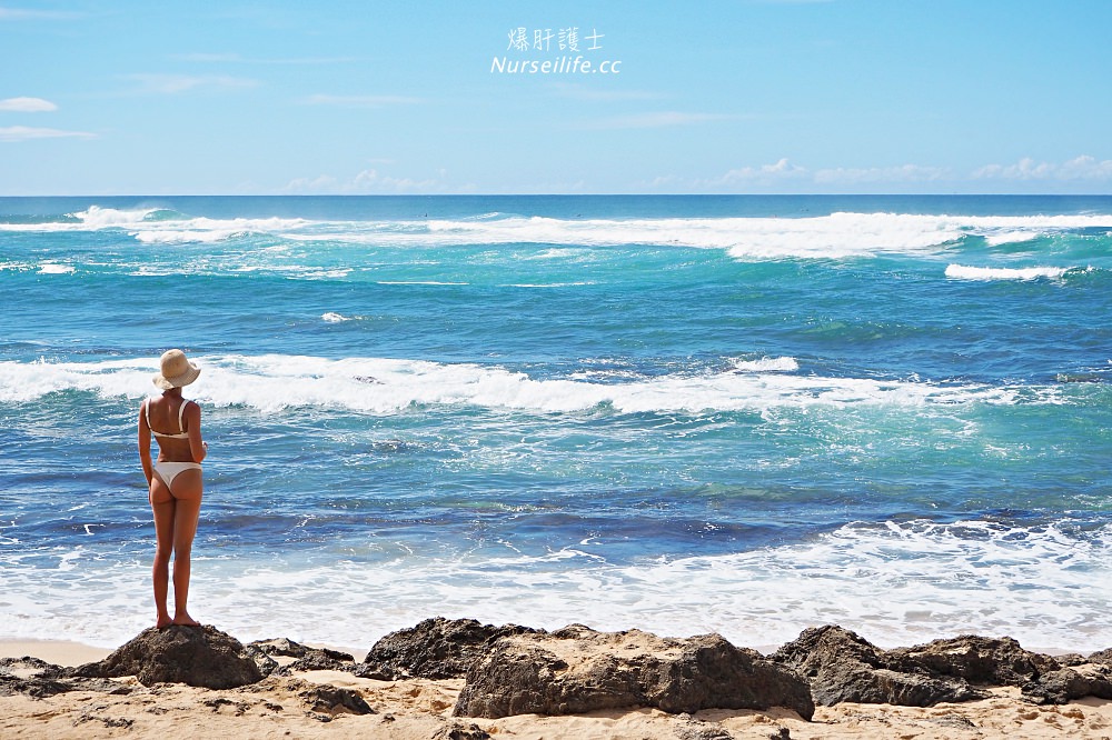 夏威夷｜Laniakea Beach 海龜海灘 - nurseilife.cc