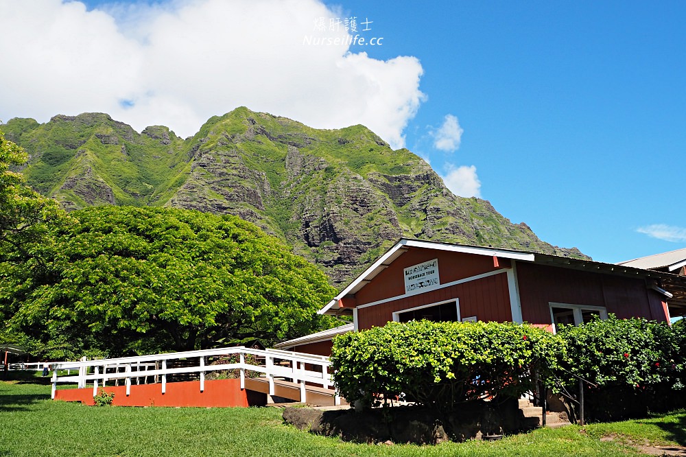 夏威夷｜追星、被恐龍追都不能錯過的古蘭尼牧場一日遊（Kualoa Ranch） - nurseilife.cc