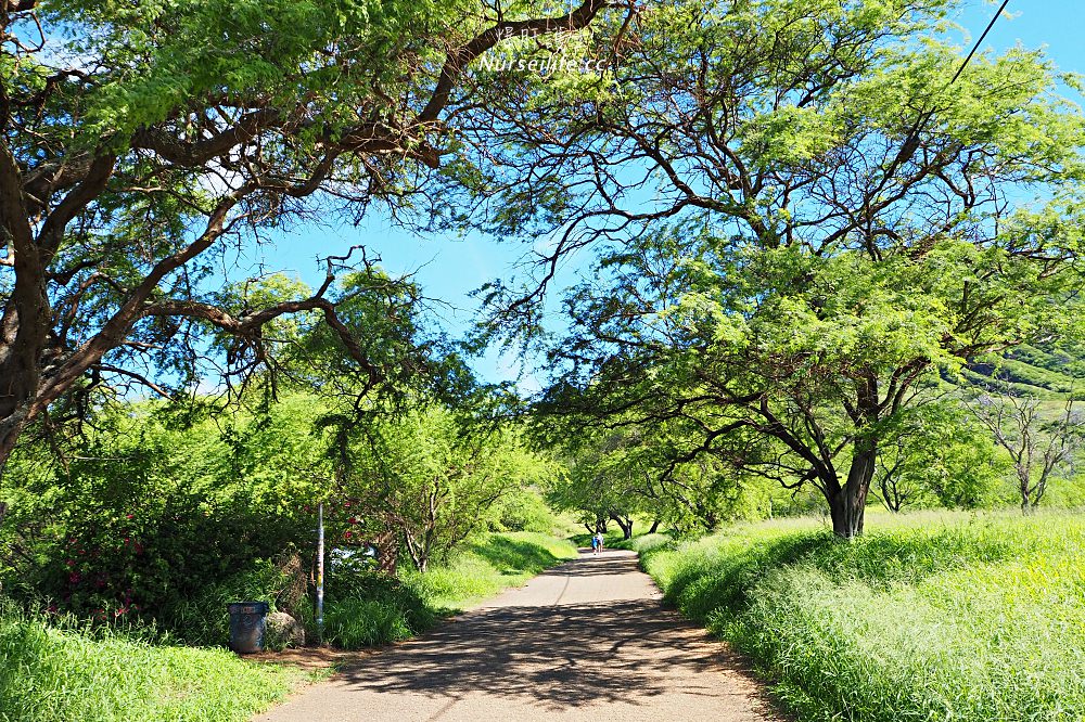 夏威夷 Koko Head 穿梭在地獄與天堂的健行步道 - nurseilife.cc