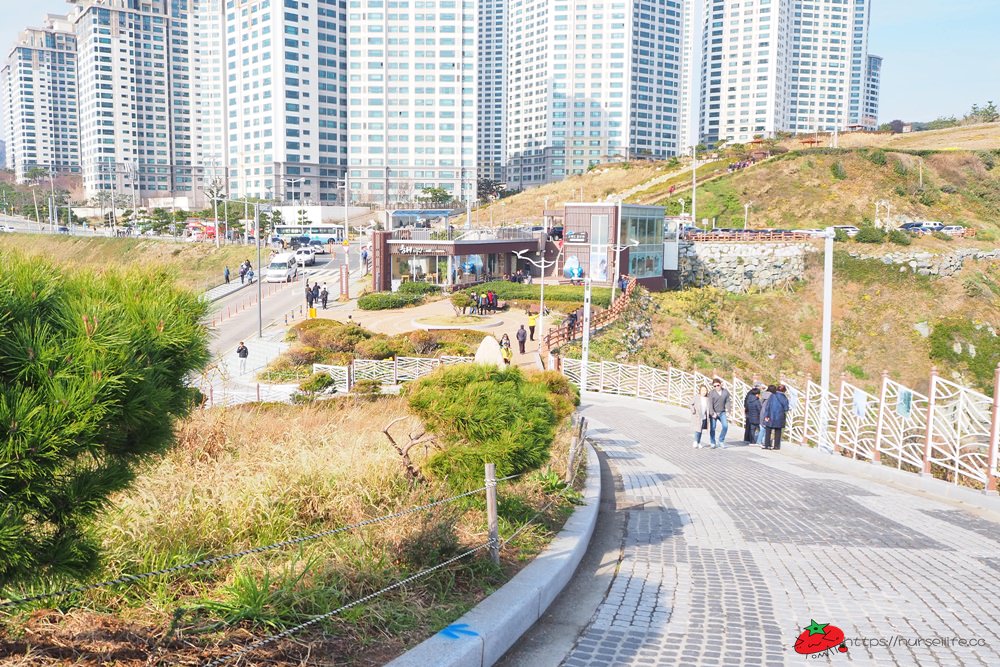 釜山｜五六島天空步道．跟著韓國綜藝一起探訪釜山景點 - nurseilife.cc