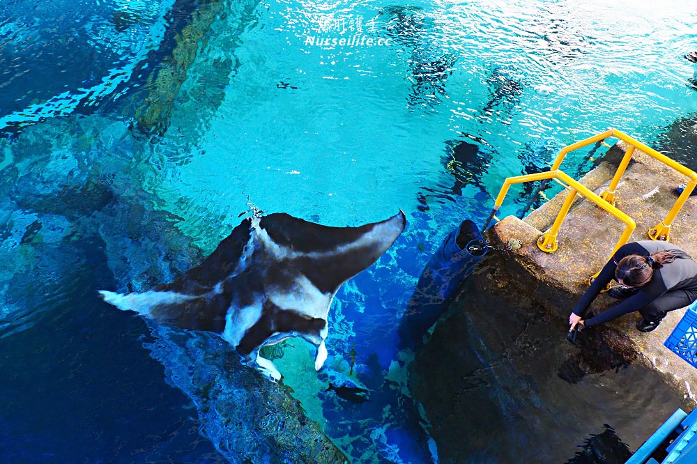 新加坡聖淘沙名勝世界水上探險樂園．與魚群共遊體驗海王子的世界 - nurseilife.cc