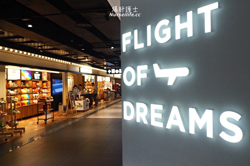 FLIGHT OF DREAMS．在中部國際機場遇見西雅圖體驗飛行夢 - nurseilife.cc
