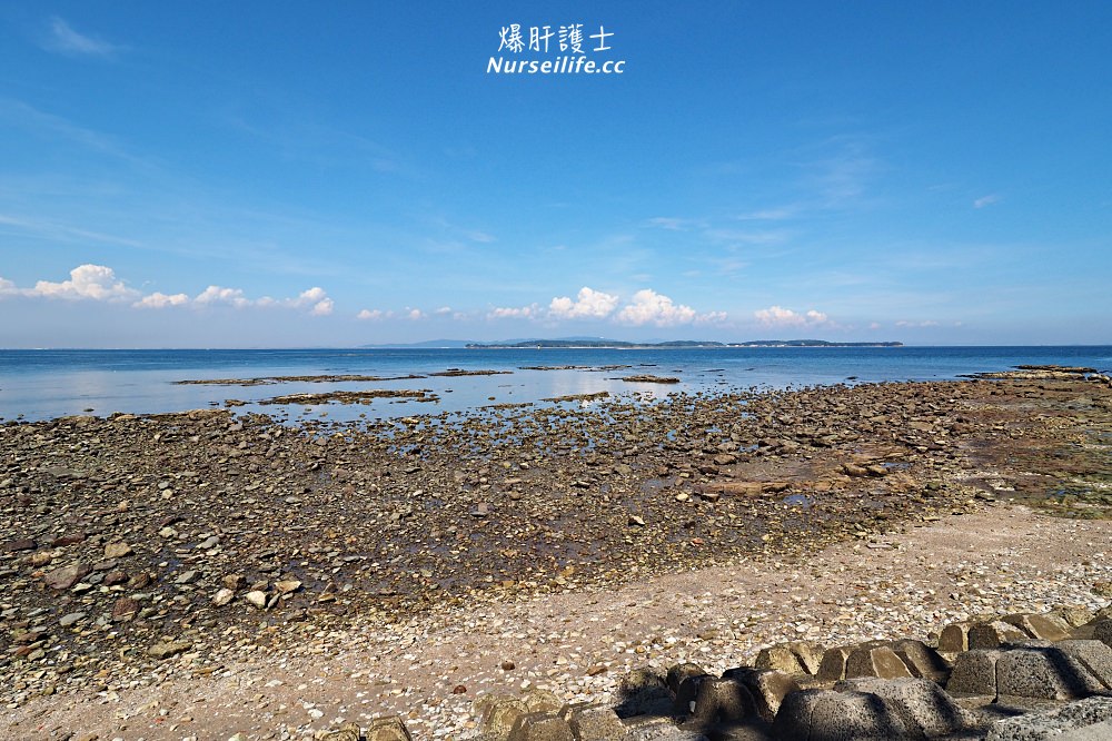 日間賀島的景點與交通．來趟名古屋的離島渡假之旅享受章魚海鮮大餐 - nurseilife.cc