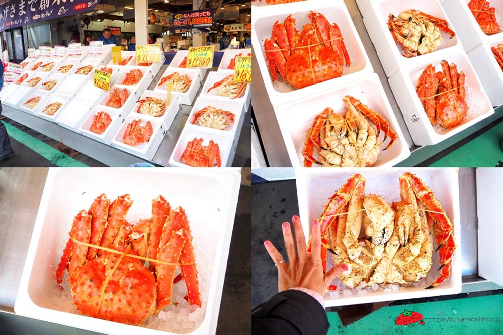 北海道｜在札幌吃螃蟹就要到中央市場．現撈現烤超划算 - nurseilife.cc