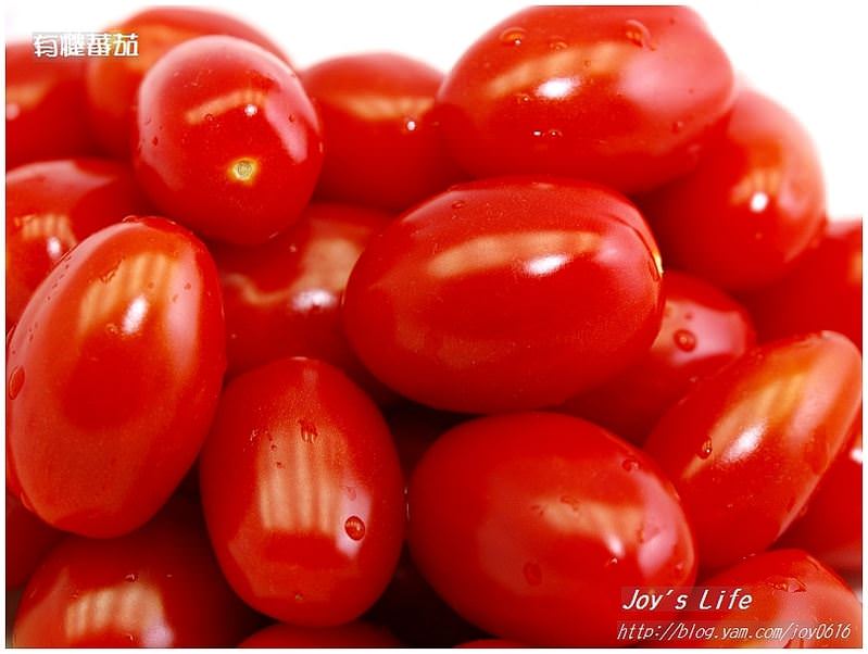 【團購】來自鹽地裡的紅寶石│李基培達人的有機小蕃茄 - nurseilife.cc