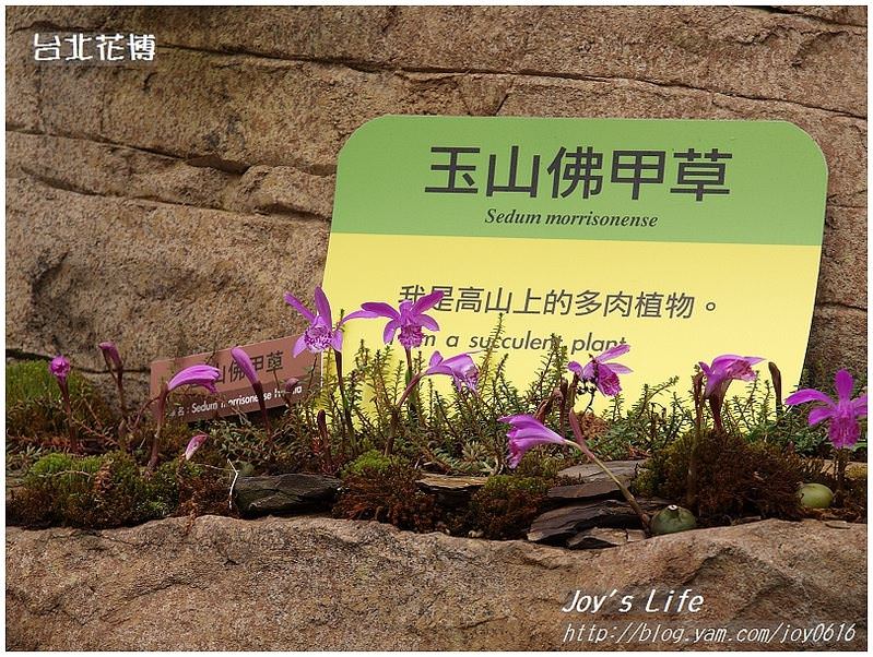 【台北】花博-未來館│不用爬玉山，在這就可看到來自玉山的植物了!! - nurseilife.cc