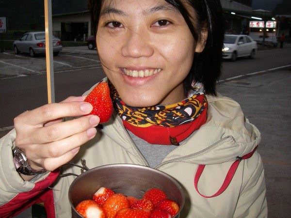大湖草莓祭 - nurseilife.cc