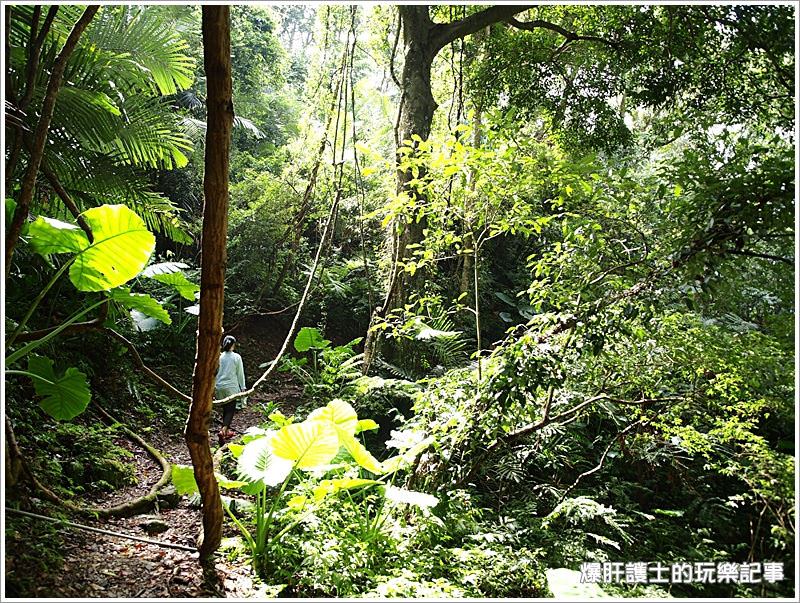 【新北住宿】空氣中滿滿的芬多精 一秒到雨林的住宿@大板根森林溫泉渡假村 - nurseilife.cc