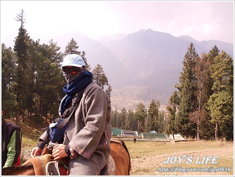 【印度】Pahalgam騎馬趣Kashmir Valley篇 - nurseilife.cc