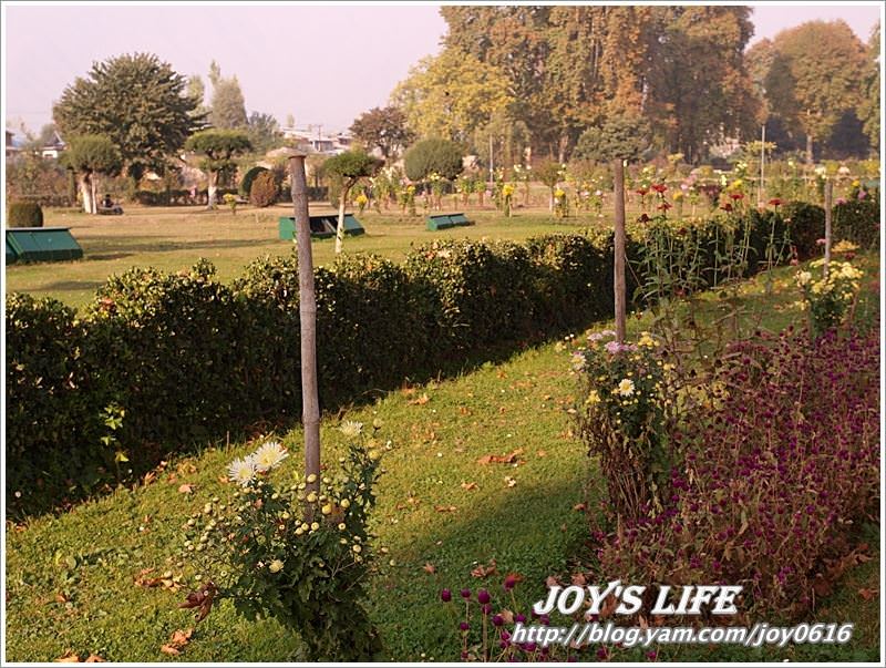 【印度】Heritage Mughal Garden Shalimar - nurseilife.cc