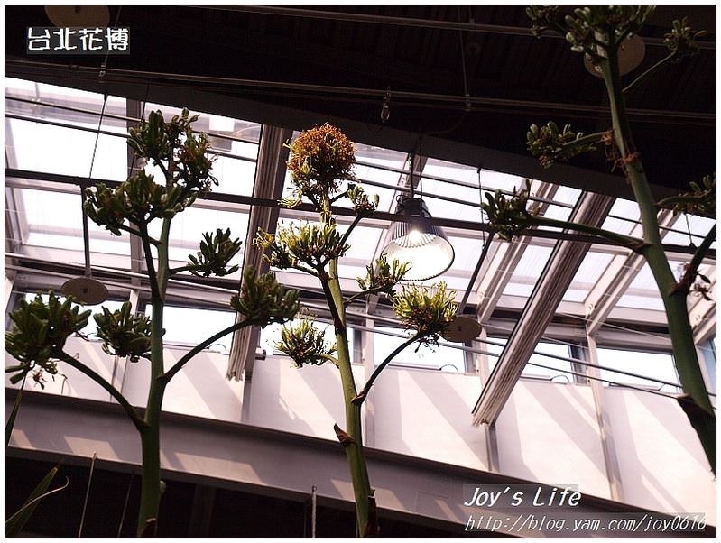 【台北】花博-未來館│不用爬玉山，在這就可看到來自玉山的植物了!! - nurseilife.cc