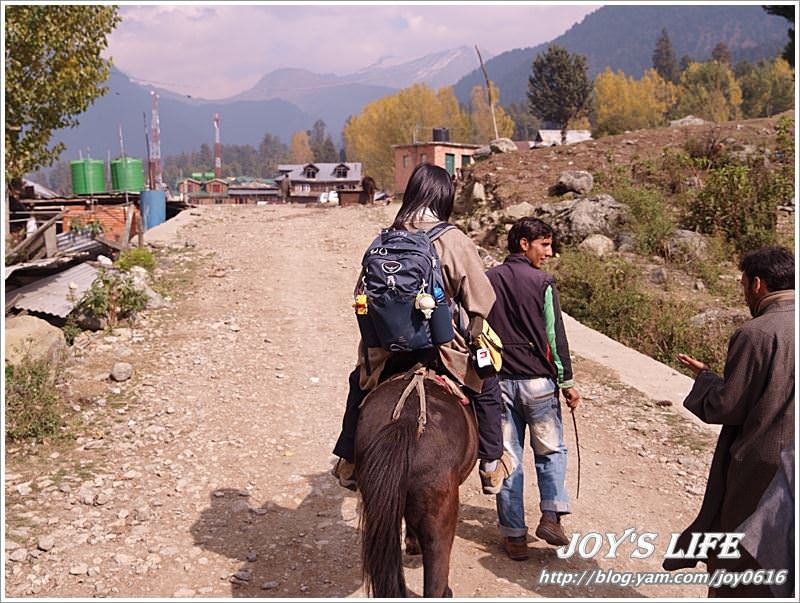 【印度】Pahalgam騎馬趣Kashmir Valley篇 - nurseilife.cc