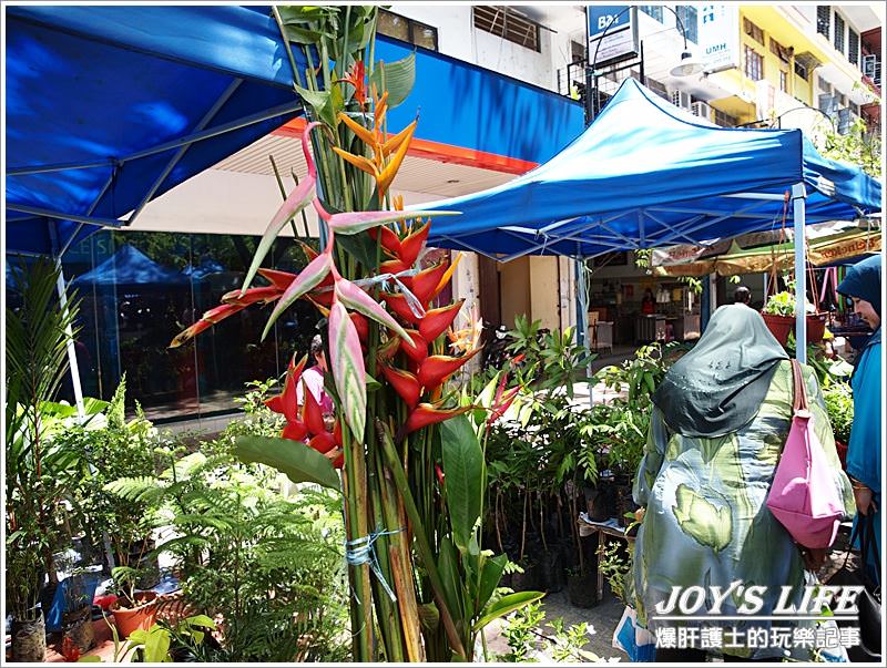 【沙巴 亞庇】加雅街假日市集Gaya Street Sunday Market - nurseilife.cc