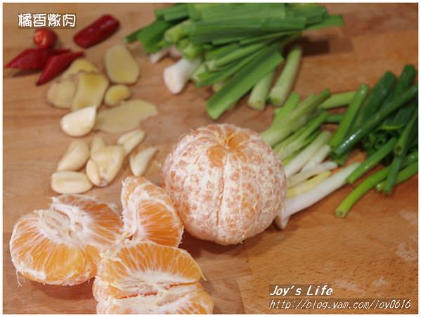 【荷蘭鍋】橘香燉肉 - nurseilife.cc