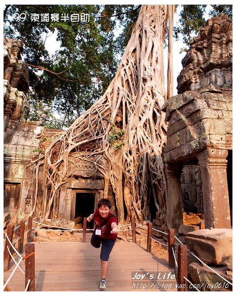 【Angkor】Ta Prohm 塔普倫寺 - nurseilife.cc