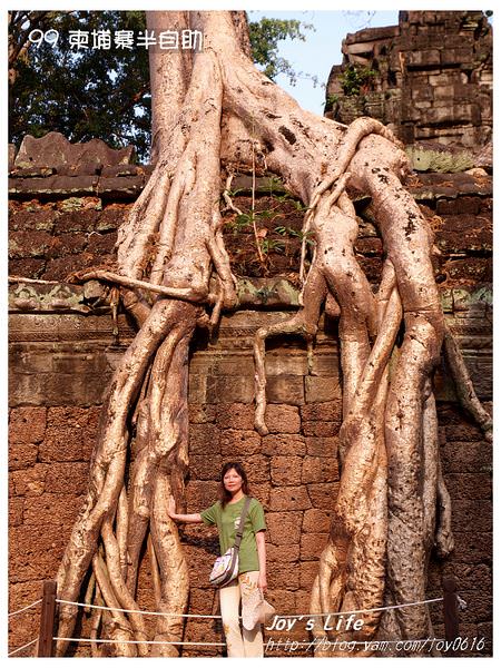 【Angkor】Ta Prohm 塔普倫寺 - nurseilife.cc
